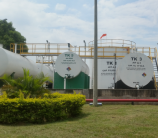 Plantas-de-Combustible-4